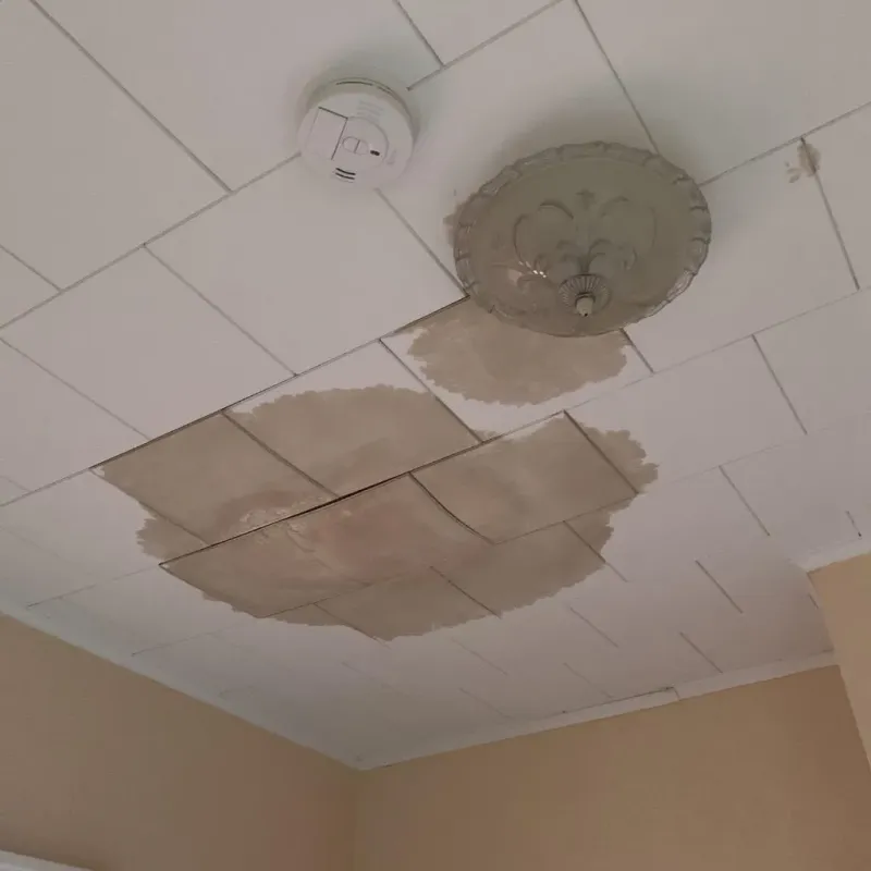 Ceiling Water Damage Repair in Plumsteadville, PA