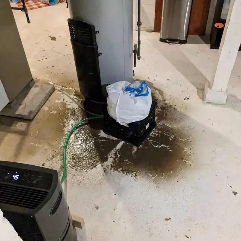 Sewage Backup Cleanup Service in Plumsteadville, PA